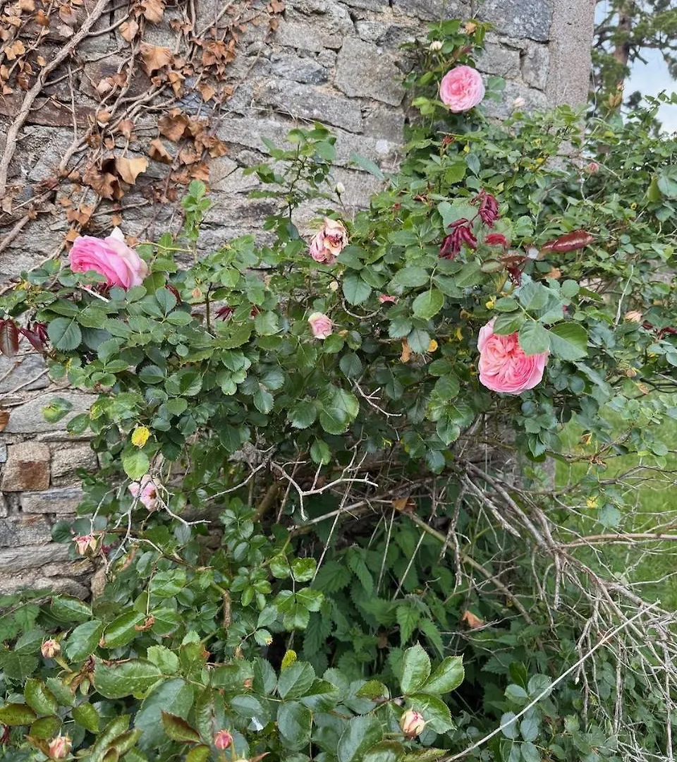 Coin De Paix Bed and Breakfast Saint-Vincent-sur-Oust Bed & Breakfast